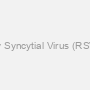 Respiratory Syncytial Virus (RSV) Antibody